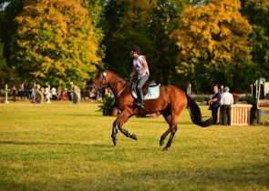 Spectacol ecvestru de top pentru 12.000 de spectatori la Karpatia Horse Show
