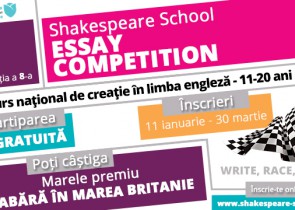 Essay Competition 2016