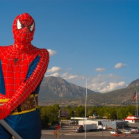 Parintele super-erou: Un tata se imbraca in fiecare zi ca Spiderman pentru fiul sau