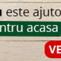 Ninsorile ii tin pe elevi acasa. Peste 1400 de scoli si-au suspendat deja programul. Afla daca in judetul tau se tin cursuri