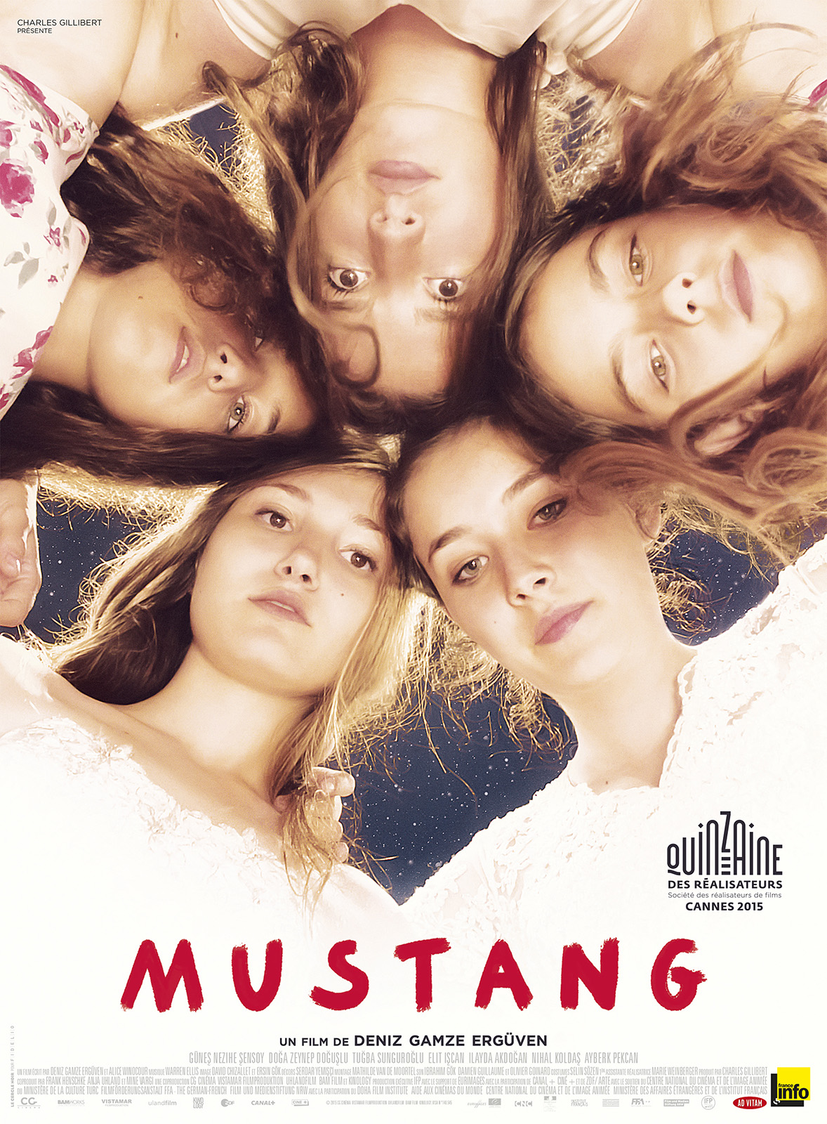 poster Mustang